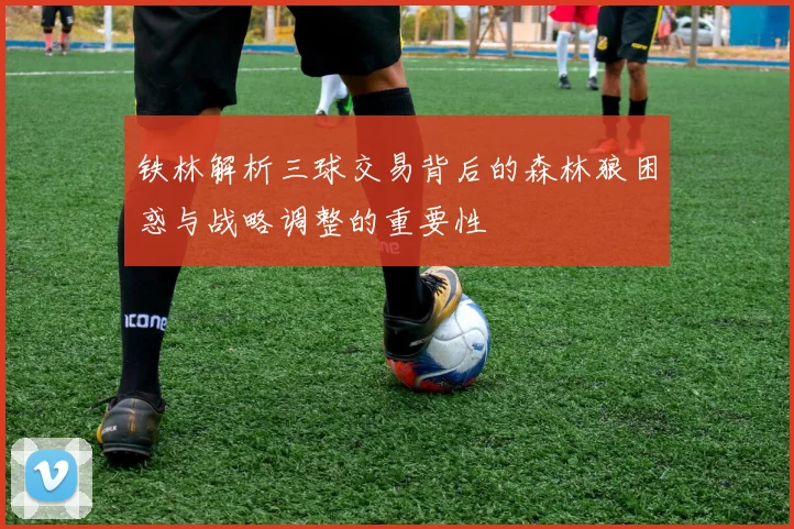 铁林解析三球交易背后的森林狼困惑与战略调整的重要性