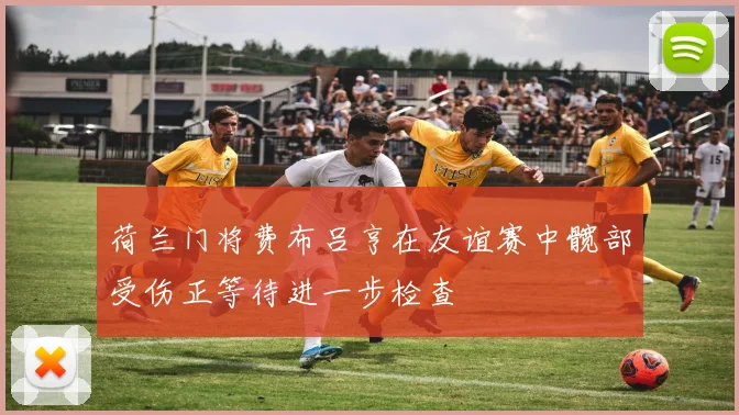 荷兰门将费布吕亨在友谊赛中髋部受伤正等待进一步检查