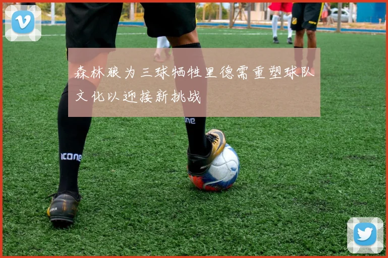 森林狼为三球牺牲里德需重塑球队文化以迎接新挑战